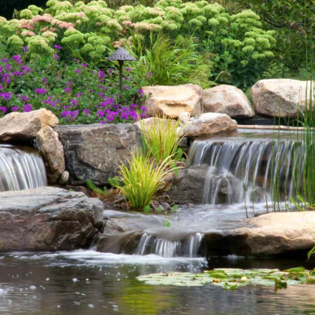 20th Anniversary Purely Ponds Parade of Ponds & Waterfalls 1